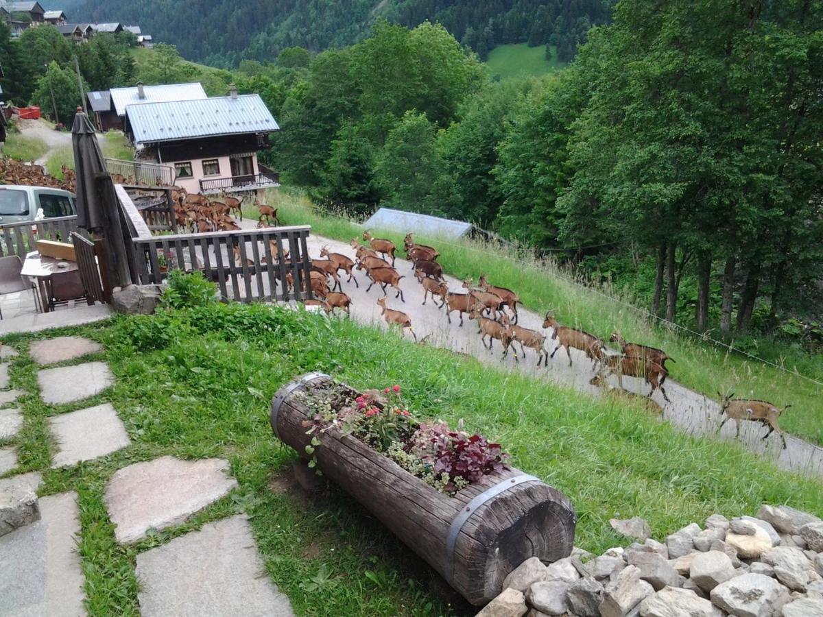 Le Refuge Des Marmottes Villa Areches Exterior photo